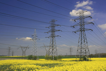 Electric pylons and farmland