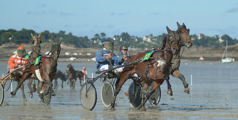 Course de chevaux sur une plage bretonne