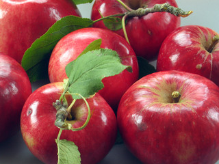 Bioäpfel