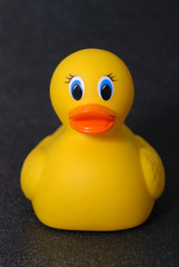 Rubber Duck