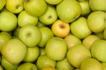 Lots of apples