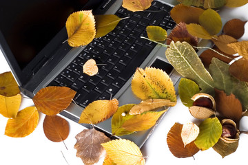 Autumn laptop. Nostalgia.