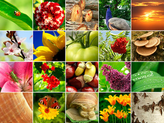 Nature