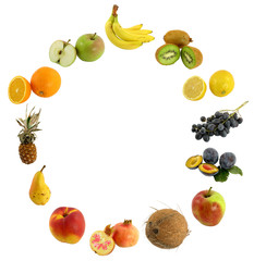 fruit circle