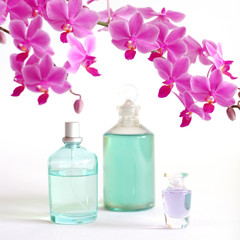 Fototapeta na wymiar Beauty zestaw z perfumami i olej ciała