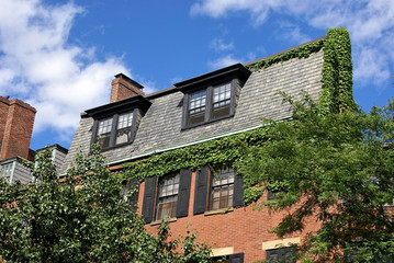 ivy covered home