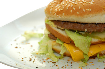 BIG BURGER1