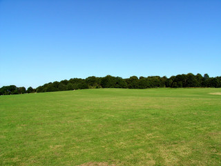 Hainault Forest View 17