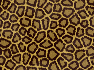 Textura Fondo Animal