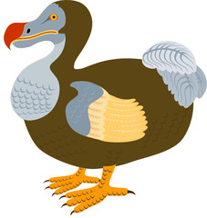 Dodo bird © Redwater Vectors