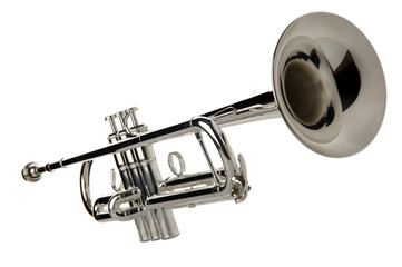 trumpet