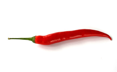 chilli pepper