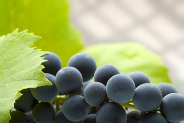 grape