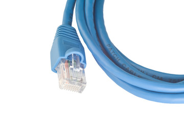 Network patchcord curtailed by a ring