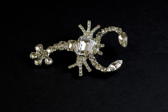 Scorpion
