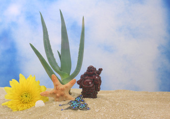 Aloe Vera Plant in Sand With Buddha Statue and Flower