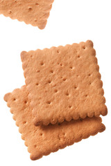 Square cookie