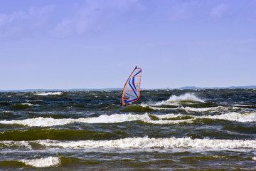 Surfer