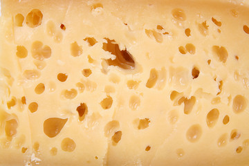 formaggio 10
