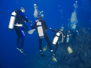 Divers descending