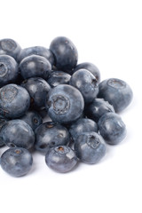 fresh Blueberry 