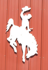 cowboy on horse