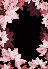 Leaves frame