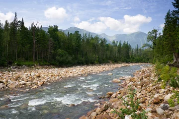 Crédence de cuisine en verre imprimé Rivière view of mountain river 