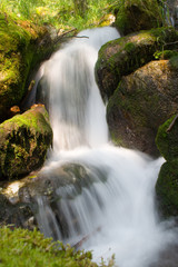 mountain stream running over mossy rocks