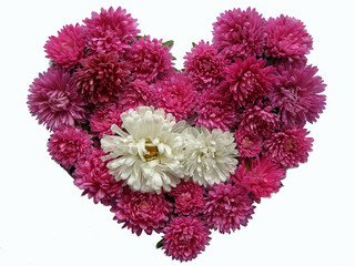 flovers heart