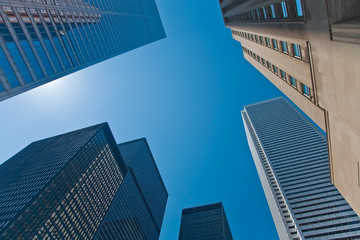 Looking Up at the Skyscrapers - obrazy, fototapety, plakaty