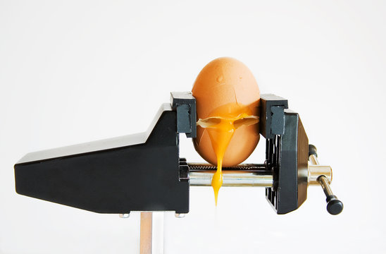 Oeuf
