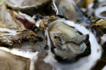 Huîtres