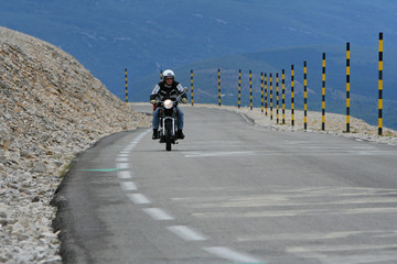 Rider