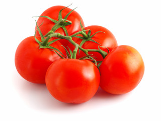 the bunch of tomatoes