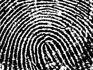 Fingerprint Crop - close up