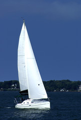 Obraz premium white sails and blue skies