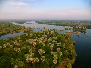 Foto op Plexiglas Birds eye view - Zambezi river near Victoria Falls © Elzbieta Sekowska