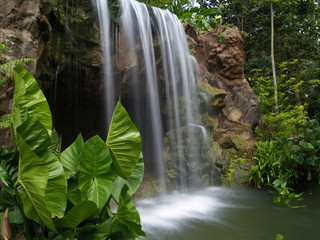 Waterfall At Botanic Garden - 4332848
