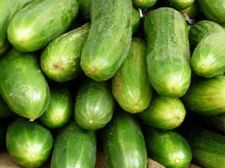 Gewürzgurken 1
