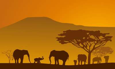Fototapeta na wymiar Silhouettes of elephants on backgrounds Kilimanjaro