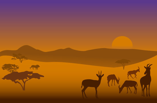 Silhouettes of herd of antelopes and a lion in savanna