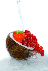 Fruit and coco
