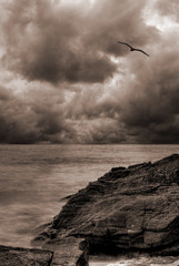 Stormy ocean landscape