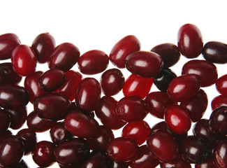 Cornelian berry