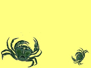 crabs background / backdrop