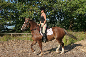 Obraz premium Upright Riding Posture