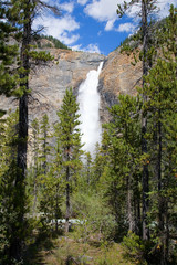 Takkakaw Falls in the Canadian Rockies