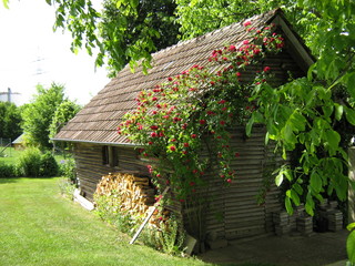 Holzh&uuml;tte im Garten