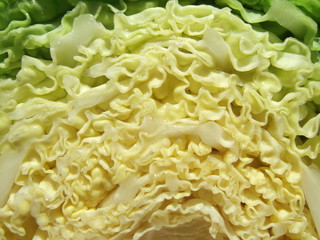cabbage